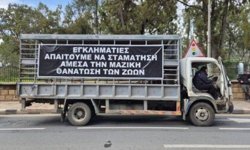 Güney Kıbrıs'ta Hayvancılar eyleme hazırlanıyor