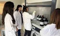 TAGEM laboratuvarında Peroksit Sayısı ve Serbest Yağ Asitleri analizi de yapılabilecek