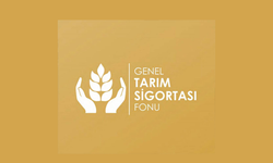 Çiçek hastalığı tazminat ödemeleri yapıldı