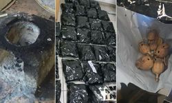 Güney Kıbrıs'ta ilk kez ve çok miktarda afyon haşhaşı ele geçirildi