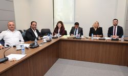 Hukuk, Siyasi İşler, Dışilişkiler ve Savunma Komitesi Yurttaşlık Değişiklik Yasa Tasarısı'nı onayladı