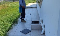 Mesarya Belediyesi haşereyle mücadele çalışmalarını sürdürüyor