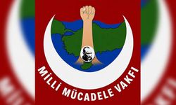 Milli Mücadele Vakfı, Kıbrıs sorunu konusunda eleştirilerde bulundu