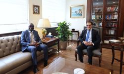 Türkiye Dışişleri Bakan Yardımcısı Bozay, Khassim Diagne ile görüştü
