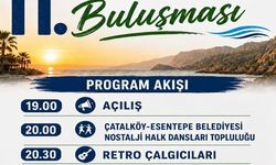 11. Leymosunlular Buluşması yarın gerçekleştiriliyor