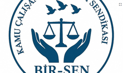 Bir-Sen: 'Hayat pahalılığı artışlarının maaşlara yansıtılma sistemi değişmelidir'