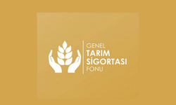 Doğrudan Gelir Desteği birinci avans ödemeleri bankalara yatırıldı