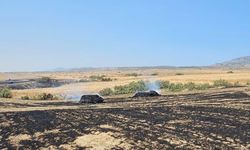 Lefkoşa-Girne ana yolunda araç, Boğaziçi'nde arazi yangını