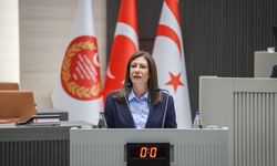İncirli: 'Meclis Genel Kurulu'nu olağanüstü toplantıya çağırıyoruz'