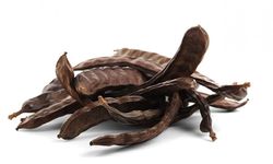 Lefke'de harup ve erkenci zeytin hasadı 24 Ağustos, yerli zeytin hasadı 14 Eylül'de...