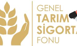 Genel Tarım Sigortası Fonu: 'Dolu ve fırtına zararı için son müracaat cuma günü'