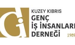 GİAD'dan gemi faciası sonrası denetim ve hesap verebilirlik çağrısı