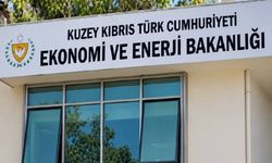 Sinek ilacı ve benzeri ürünler sıkı denetime tabi tutulmaya başlandı