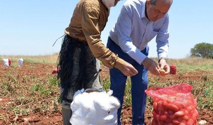 Cumhurbaşkanı Ersin Tatar 14 Mayıs Dünya Çiftçiler Günü dolayısıyla mesaj yayımladı