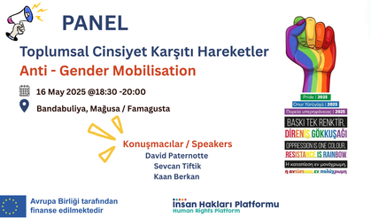 İnsan Hakları Platformu, “Toplumsal Cinsiyet Karşıtı Hareketler” paneli düzenliyor