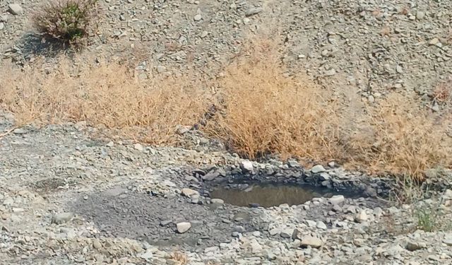 Lefke Çevre ve Ekoloji Derneği’nden lağım suları sorununa kalıcı çözüm çağrısı