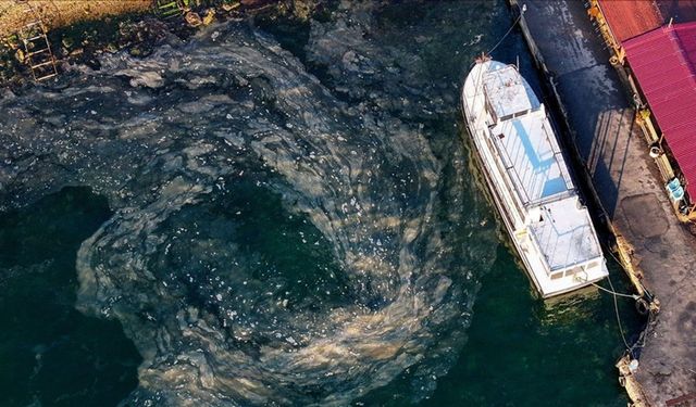 Müsilaj, Marmara Denizi'nde dipte yoğunlaşıyor