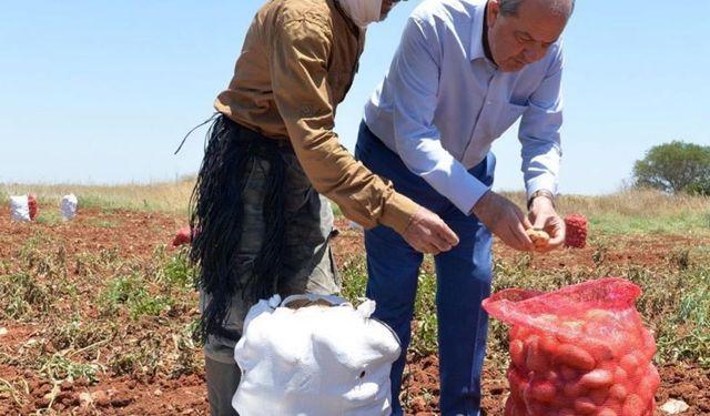 Cumhurbaşkanı Ersin Tatar 14 Mayıs Dünya Çiftçiler Günü dolayısıyla mesaj yayımladı