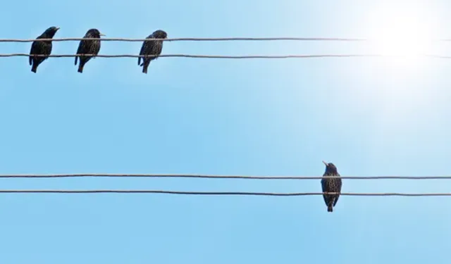 Araçtan kargaya ateş eden şahsa para cezası