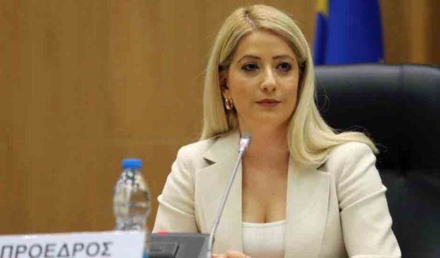 Dimitriu Almanya Büyükelçisi Slim ile görüştü