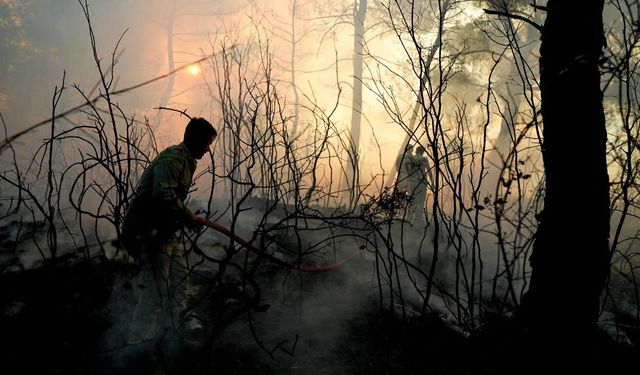 İzmir'de günün ilk ışıklarıyla birlikte yangına müdahale devam ediyor