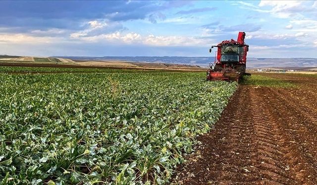 KKTC’de yaşayan Rum çiftçilere maddi destek verilecek