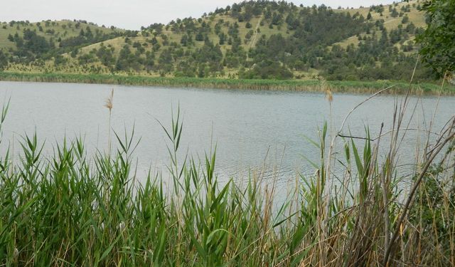 Sivil toplum örgütleri Ayluga Sulak Alanı’nı koruma çağrısında bulundu