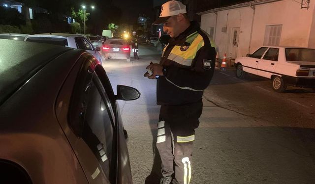 Asayiş ve trafik denetimleri