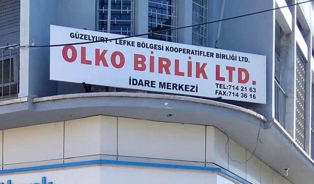 BASS: 'Olko Birlik Ltd. çalışanları işsiz kaldı'