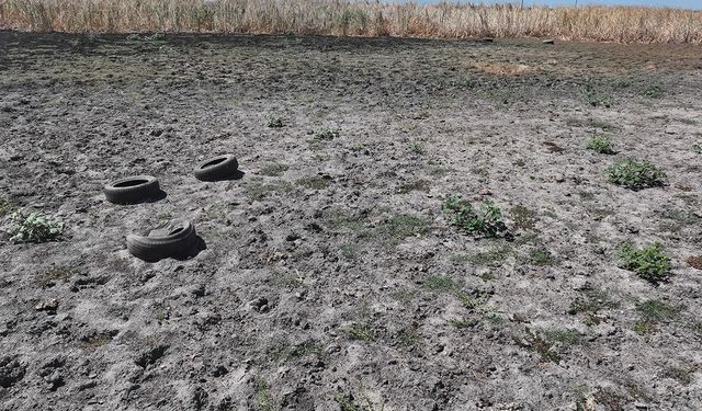 Türkiye'de yağış alarmı: 52 yılın en düşük seviyesi