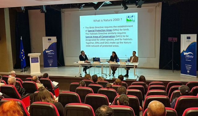 'AB'nin Yeşil Vizyonu: Politikadan Eyleme' başlıklı panel düzenlendi