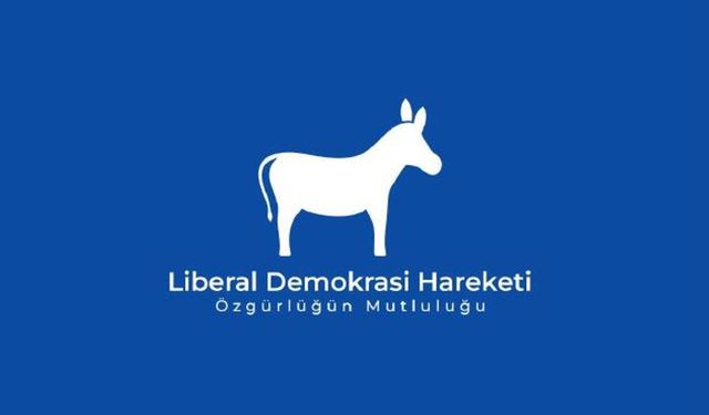 Liberal Demokrasi Hareketi'nden 10 maddelik öneri paketine destek: 'Kısa vadede hayatı kolaylaştıracak açılımlar içeriy