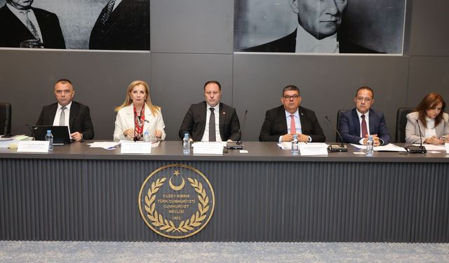 Meclis Komitesi, 2026 Bütçesini Görüşmeye Başladı: 191 Milyar TL'lik Tasarı Masada