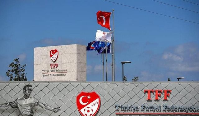 TFF'den Eren Elmalı ve Metehan Baltacıya hak mahrumiyeti cezası