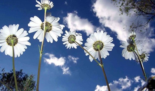 Cemre düşüyor, bahar yaklaşıyor