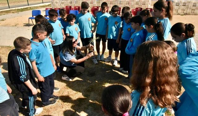 AB Bilgi Merkezi, Lefkoşa Dr. Suat Günsel İlkokulu'nda ağaç dikim etkinliği düzenledi