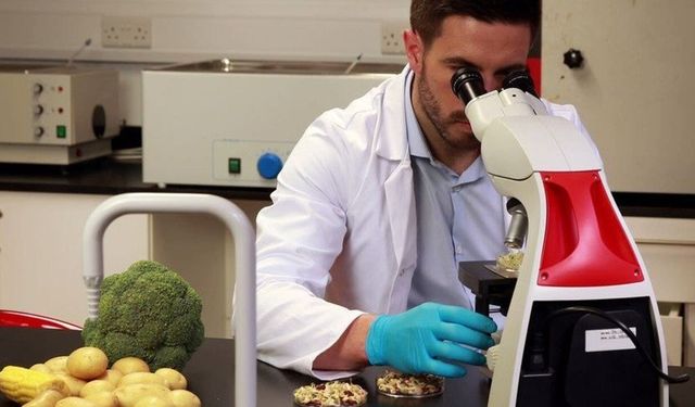 Yerli ürünlerin 6'sında tavsiye dışı ve limit üstü bitki koruma ürünü