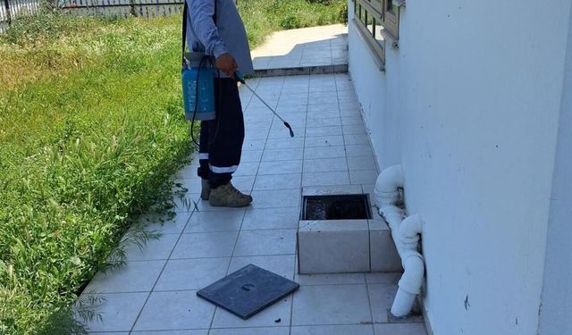 Mesarya Belediyesi haşereyle mücadele çalışmalarını sürdürüyor