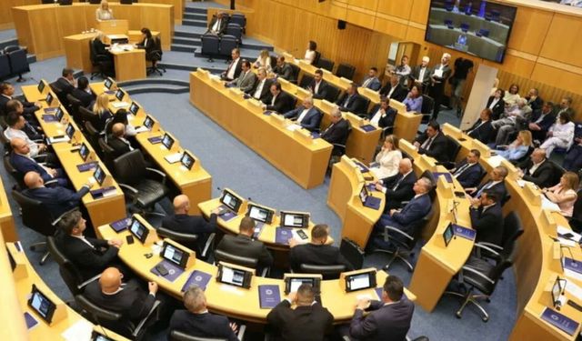 Rum Meclisi'nde komite dağılımı yapıldı, boşta kalan komiteler ELAM'a verildi