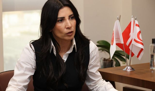 Özdenefe: 'Kadına yönelik şiddetle mücadele, yaşam hakkının, eşitliğin ve hukuk devletinin doğrudan meselesi'
