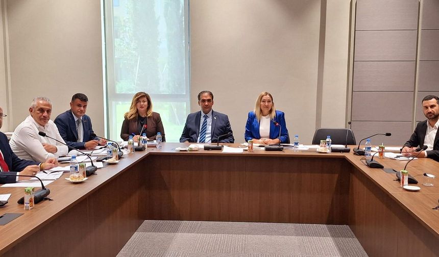 Cumhuriyet Meclisi, Hukuk, Siyasi İşler, Dışilişkiler ve Savunma Komitesi toplandı