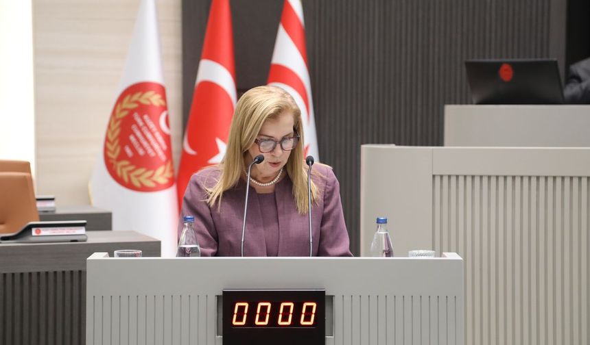 Canaltay: 'Kapsamlı ve modern yöntemlerle yürütülecek bir nüfus sayımına ihtiyaç duyuyoruz'