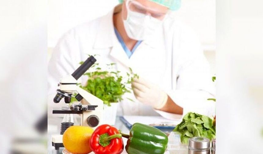 Gıda denetimleri: Armut, elma ve çilekte limit üstü, salatalıkta tavsiye dışı bitki koruma ürünü