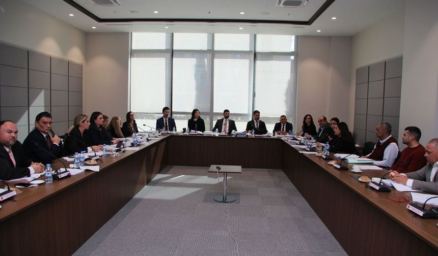 İdari, Kamu ve Sağlık İşleri Komitesi, Bütçe Dairesi ile BRTK yasa tasarılarını görüştü