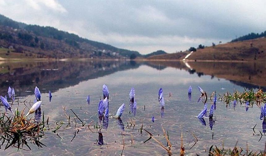 İkinci cemre suya düştü
