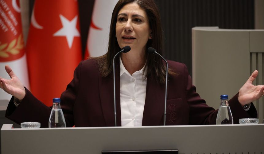 İncirli, Meclis'te hükümete çağrıda bulundu: 'Protokolü geri çekin, yeniden değerlendirilsin'