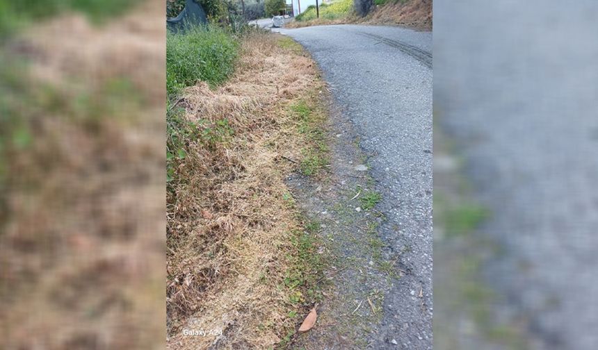 Lefke Çevre ve Ekoloji Derneği, ot kurutma ilaçlarının kullanılmasına tepki gösterdi