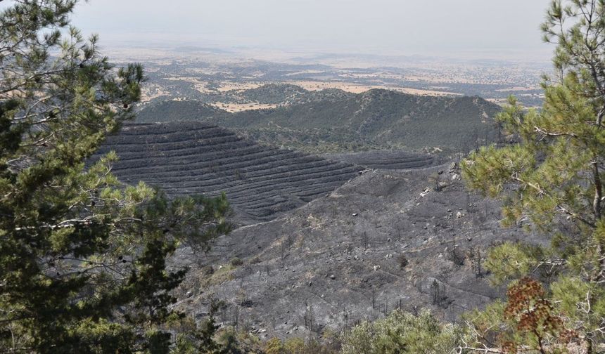 Gençlik Federasyonu alçak orman arazileri yasa değişikliğinin tekrar değerlendirilmesini talep etti