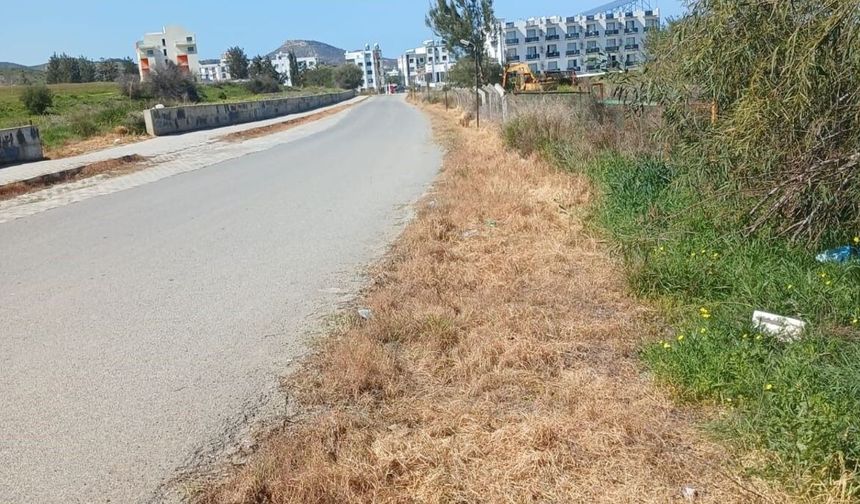 Lefke Çevre ve Ekoloji Derneği: Ot kurutma ilaçları kuşları öldürüyor, ekosisteme zarar veriyor