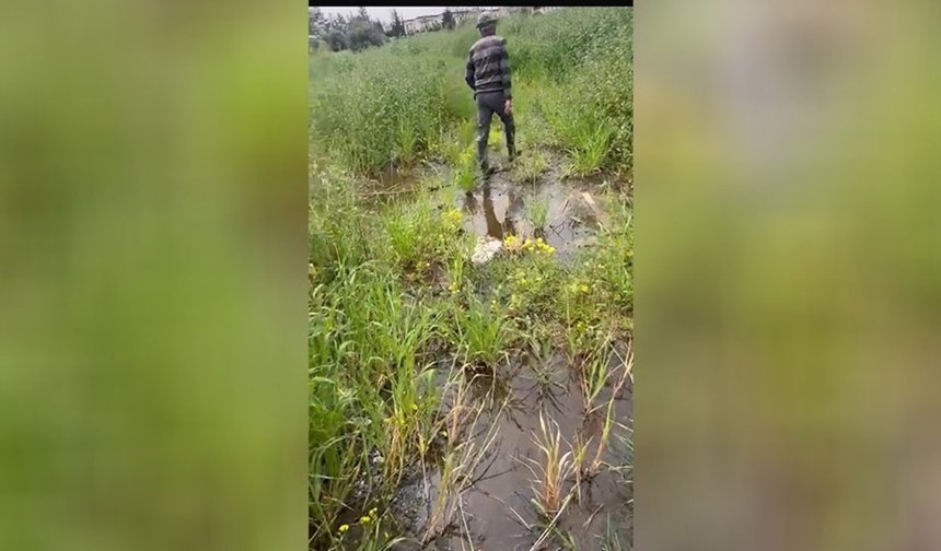 'Çevrenin korunması, yalnızca kurumların değil tüm bireylerin ortak sorumluluğu'